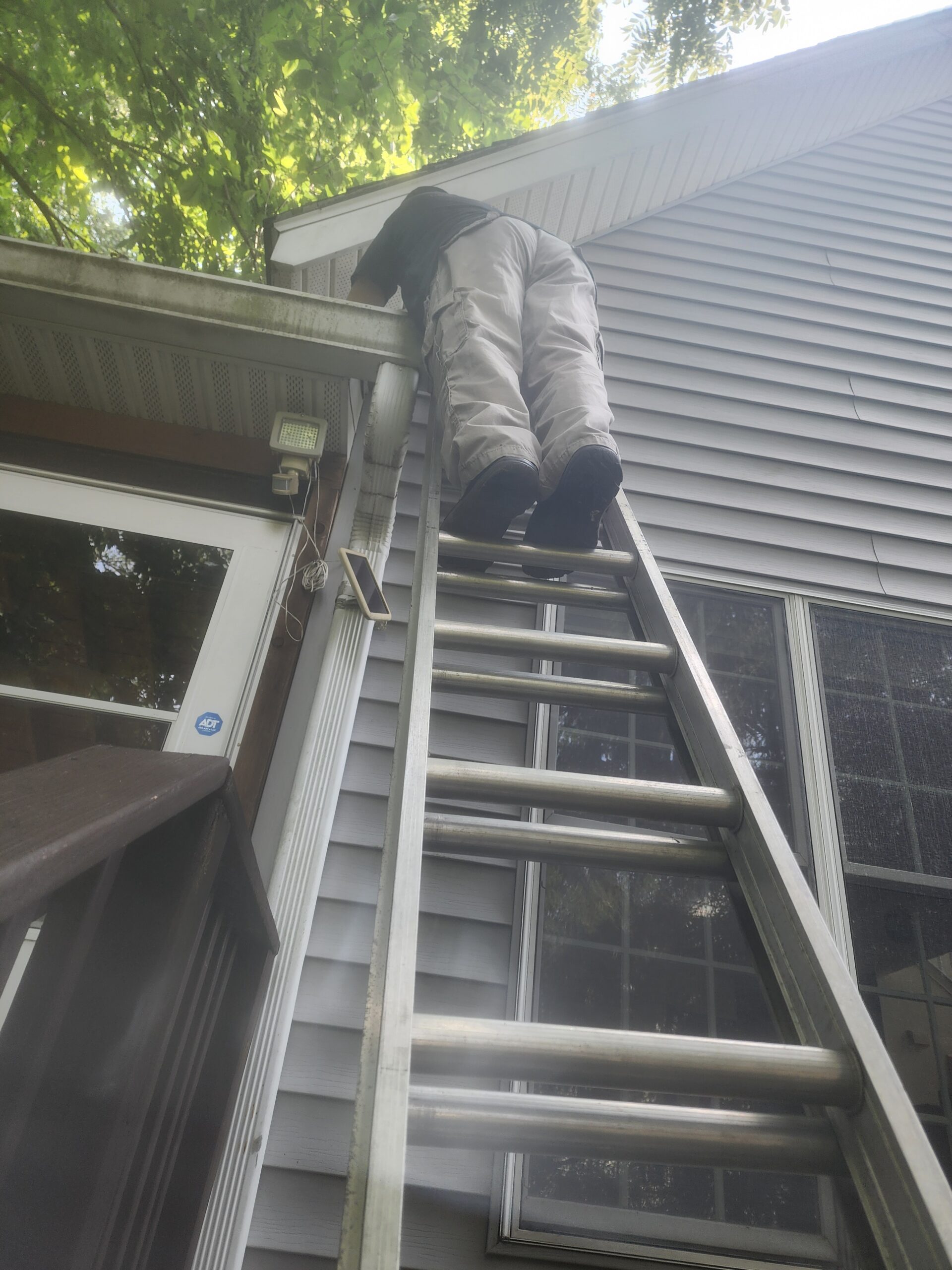 Critter Outlaws wildlife specialist inspecting home roofline for animal entry points